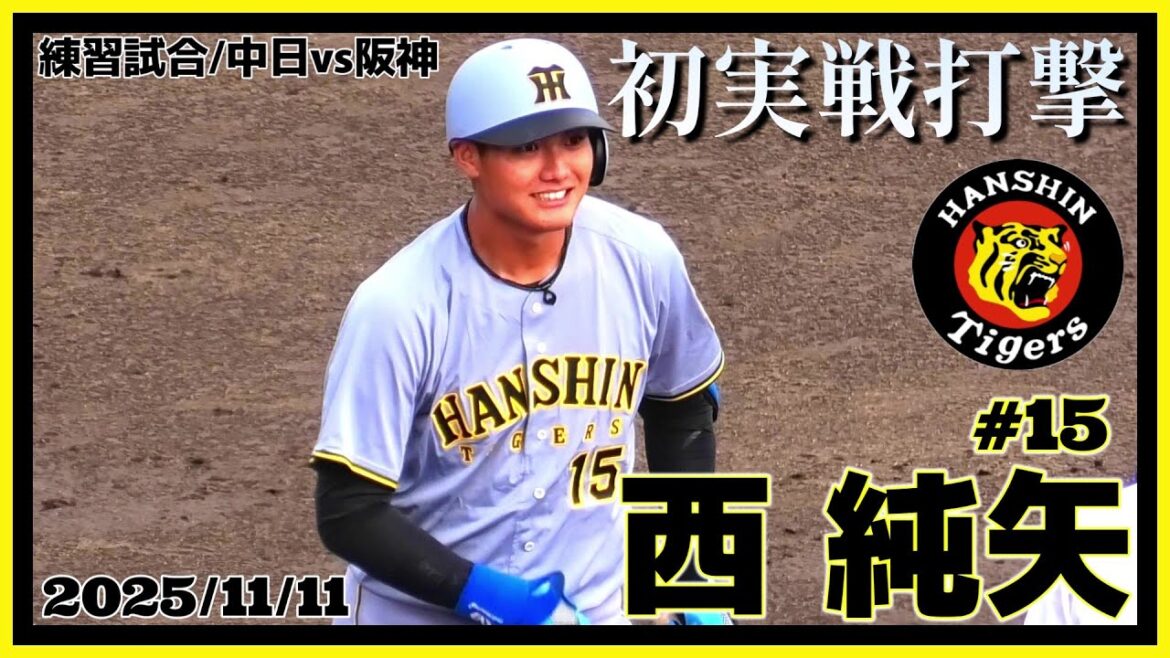 【≪西 純矢選手、野手転向後の実戦初打席≫観客から大きな声援！今オフから野手に転向後、初の対外試合！代打で登場！/練習試合vs中日ドラゴンズ】2025/11/11阪神タイガース・西 純矢(創志学園)
