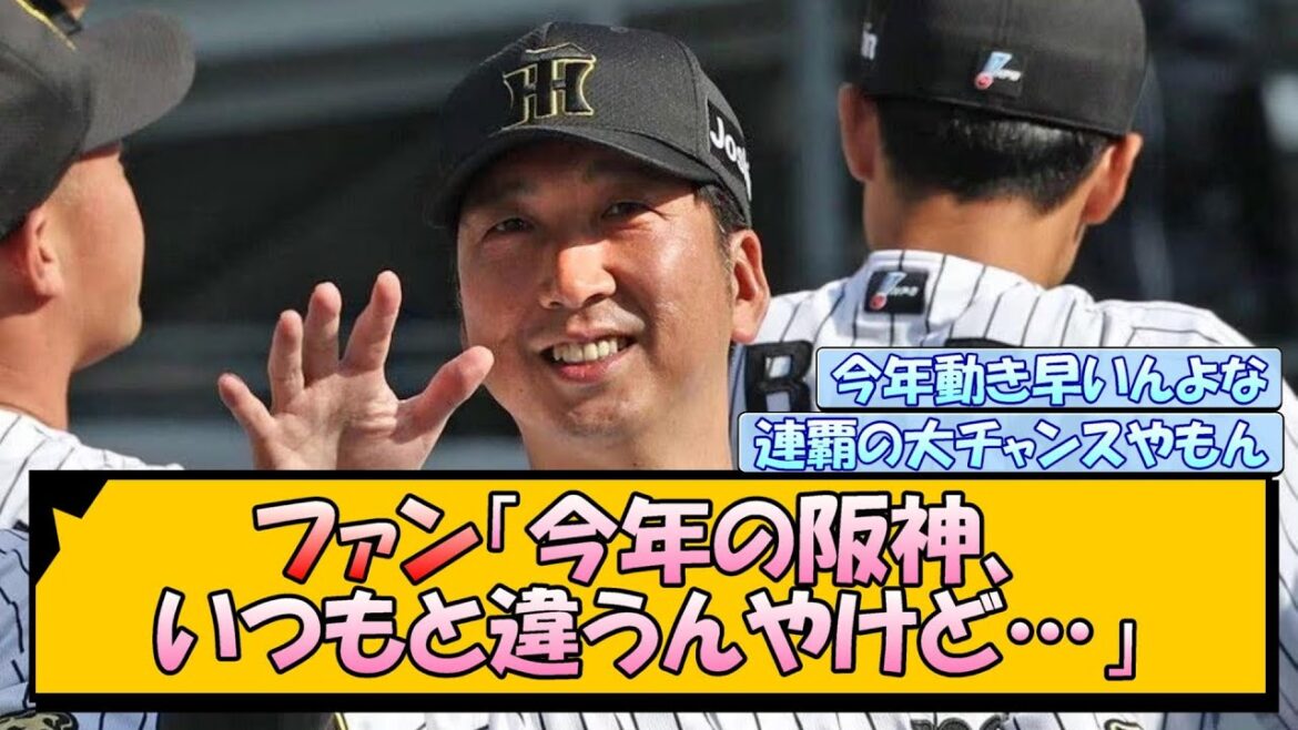 ファン「今年の阪神、いつもと違うんやけど…」