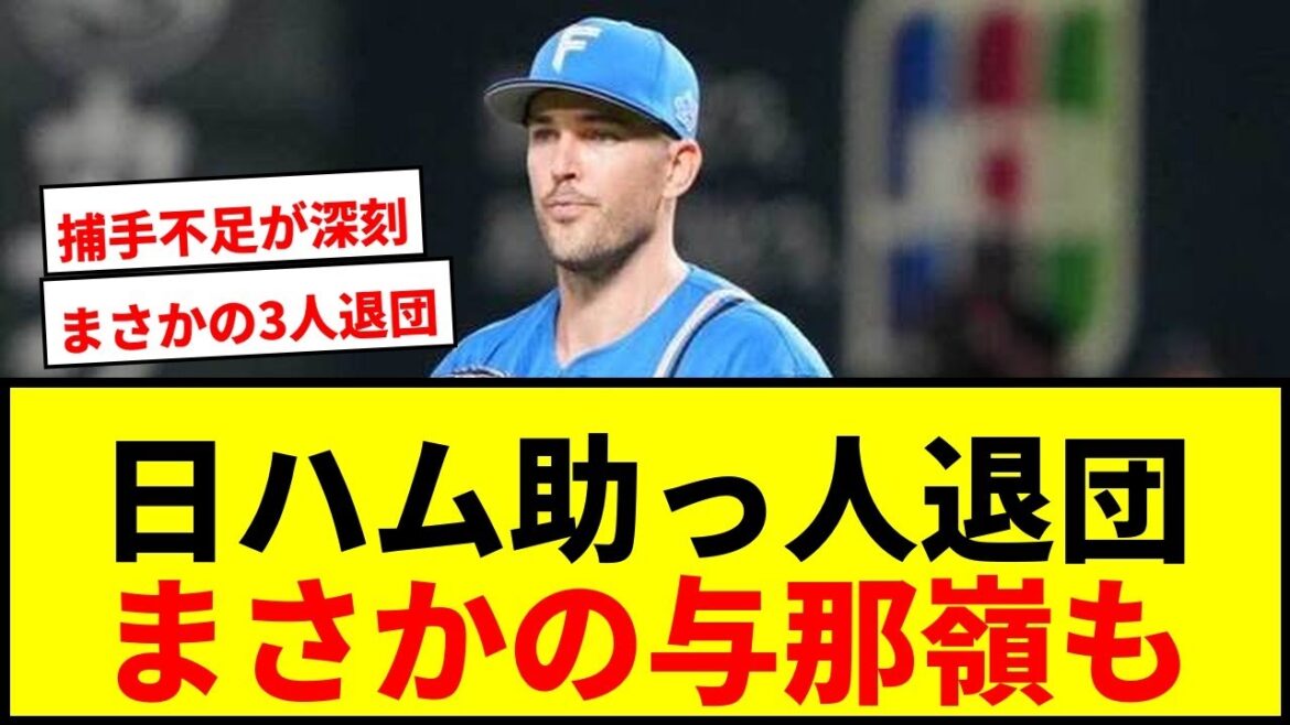 【速報】日本ハム、ザバラ＆バーヘイゲン助っ人右腕が退団！異色経歴のマイカ与那嶺も