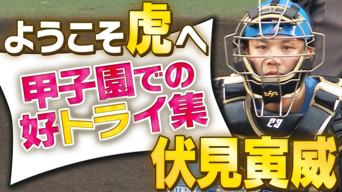 【新戦力】伏見寅威選手がトレードで阪神入団！今季最優秀バッテリー賞を伊藤大海投手と受賞した好捕手！阪神タイガース密着！応援番組「虎バン」ABCテレビ公式チャンネル