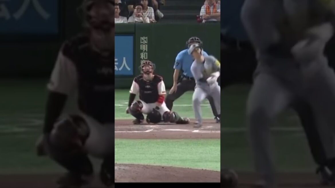 #shorts  坂本誠志郎2号2ラン!打てる捕手！
