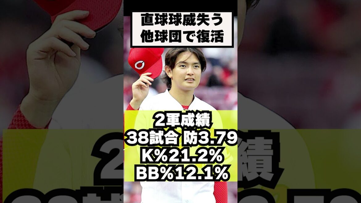 2025年カープ現役ドラフト予想4選！今年の現ドラはどうなる？ #プロ野球 #野球#広島東洋カープ