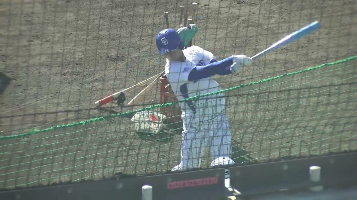 【中日ドラゴンズ 秋季キャンプ 2025】 石橋康太選手 トスバッティング 2025/11/15 ナゴヤ球場