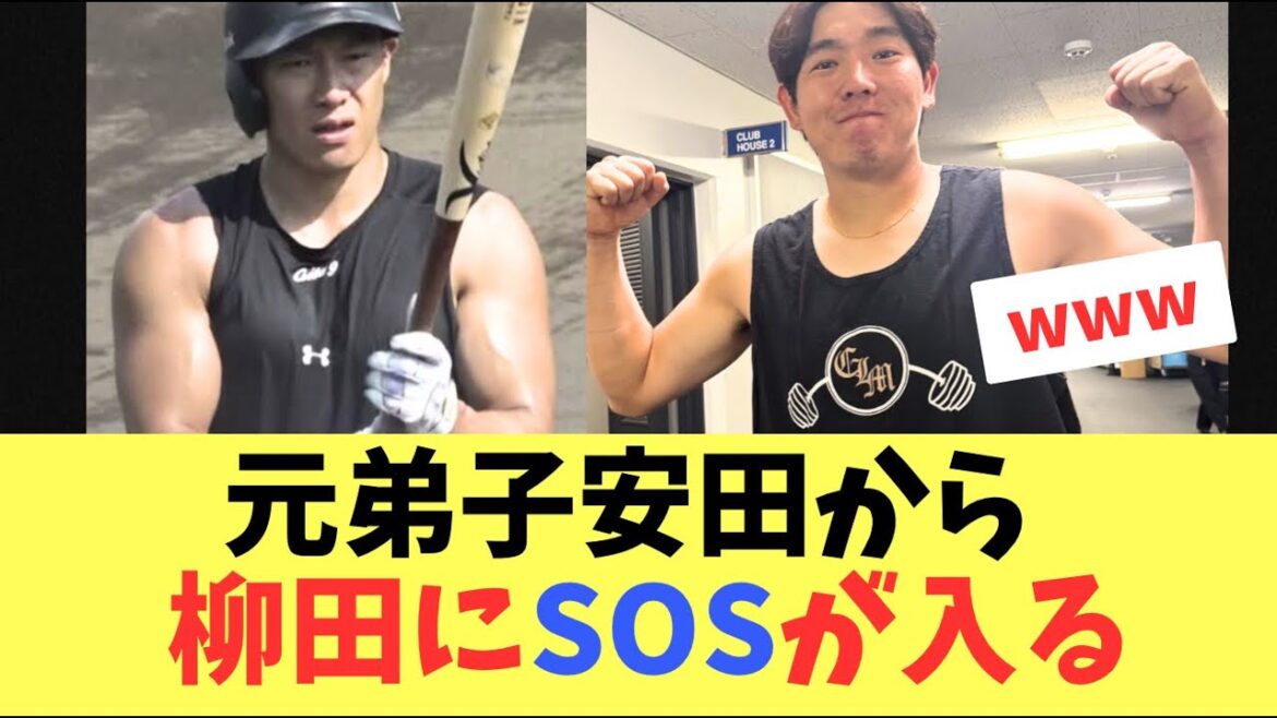 【衝撃】元柳田塾のロッテ安田から、ソフトバンクホークス柳田に懇願が届く！どうにかしてください