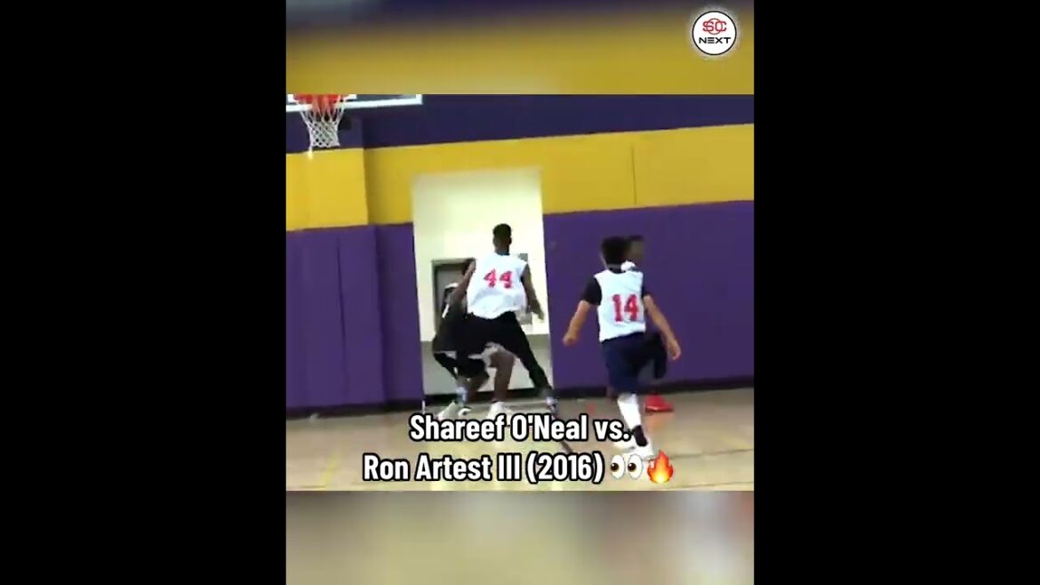 Never forget when Shareef O'Neal took on Ron Artest III in 2016 👀🔥