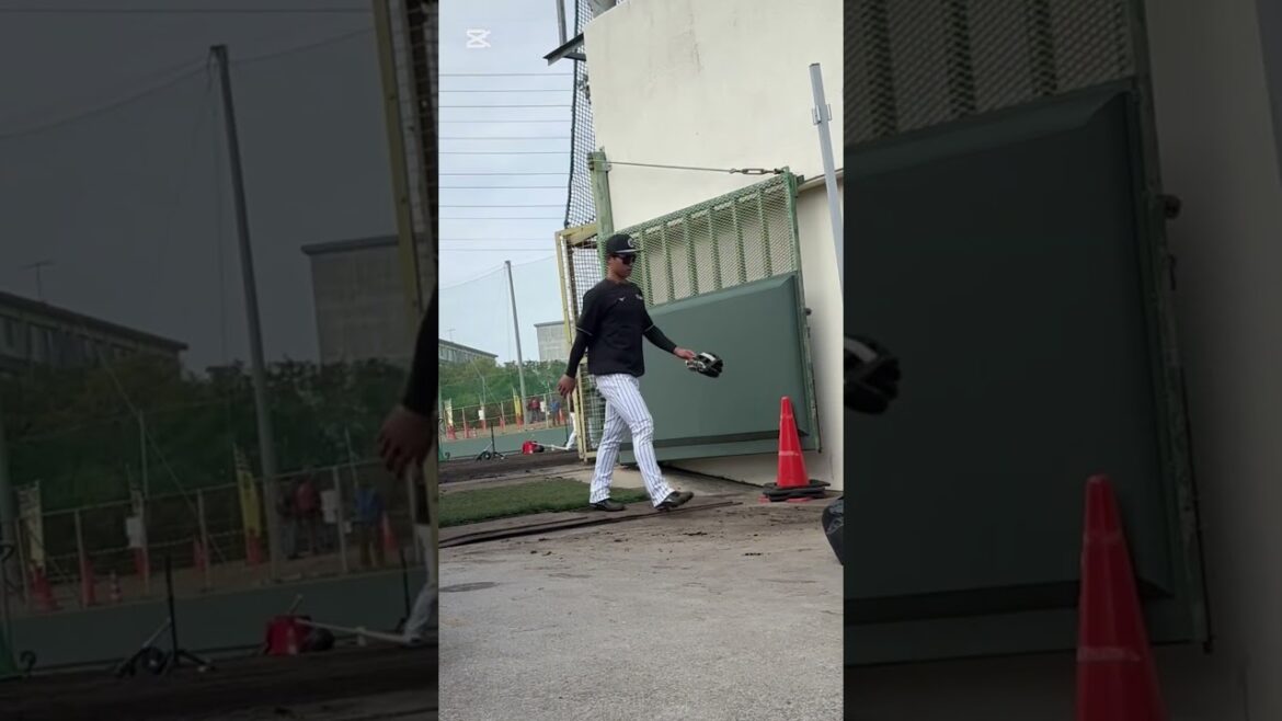 娘の推し小野寺選手が娘にリアクションしてくれました👏#阪神 #阪神タイガース #プロ野球 #キャンプ#沖縄キャンプ #具志川#小野寺