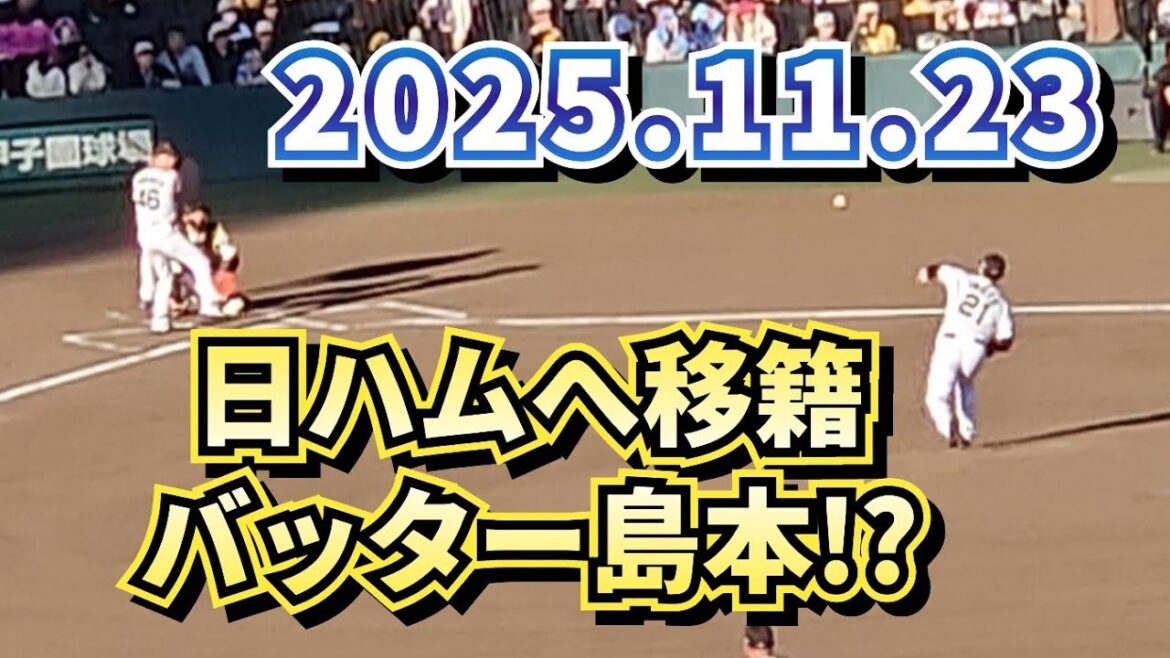 【阪神ファン感】バッター島本!?【阪神・ファン感】 【阪神ファン感】バッター島本!?【阪神・ファン感】