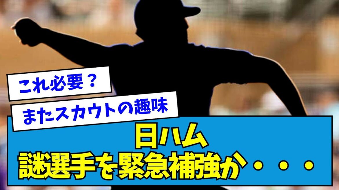 【?!】日ハム、謎選手を緊急補強か・・・【なんJ反応】