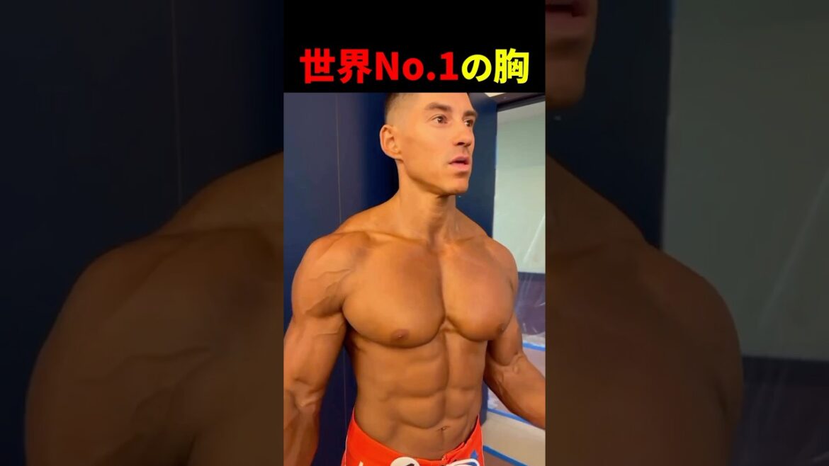 これこそがナチュラルの最高峰【世界の筋肉】
