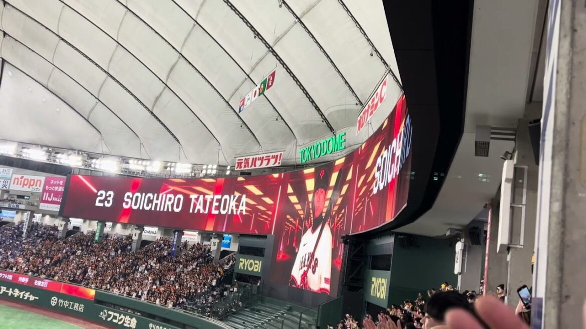 2024.5.21 立岡宗一郎 登場曲 ※支配下復帰初打席