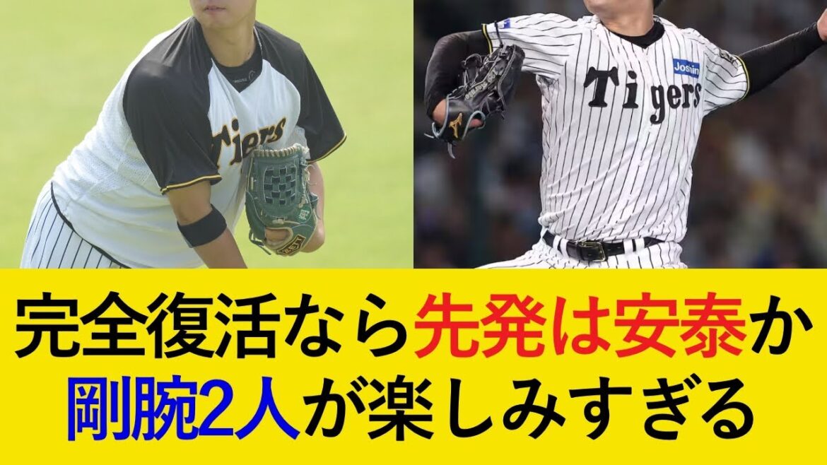 【藤川監督も期待】圧倒的なポテンシャルの2選手が来季完全復活へ！完全復活ならデュプランティエ流出でも先発は安泰か【阪神タイガース】