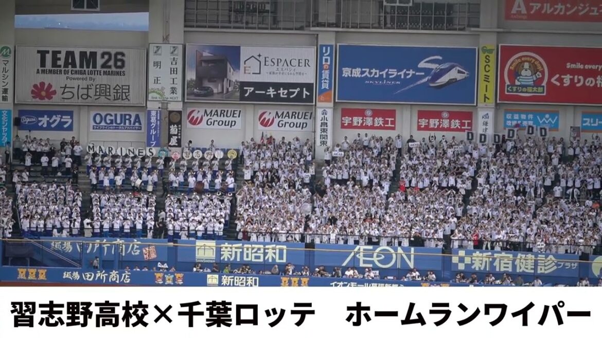 【習志野高校 × 千葉ロッテ】山本大斗ホームランワイパー　2025交流戦