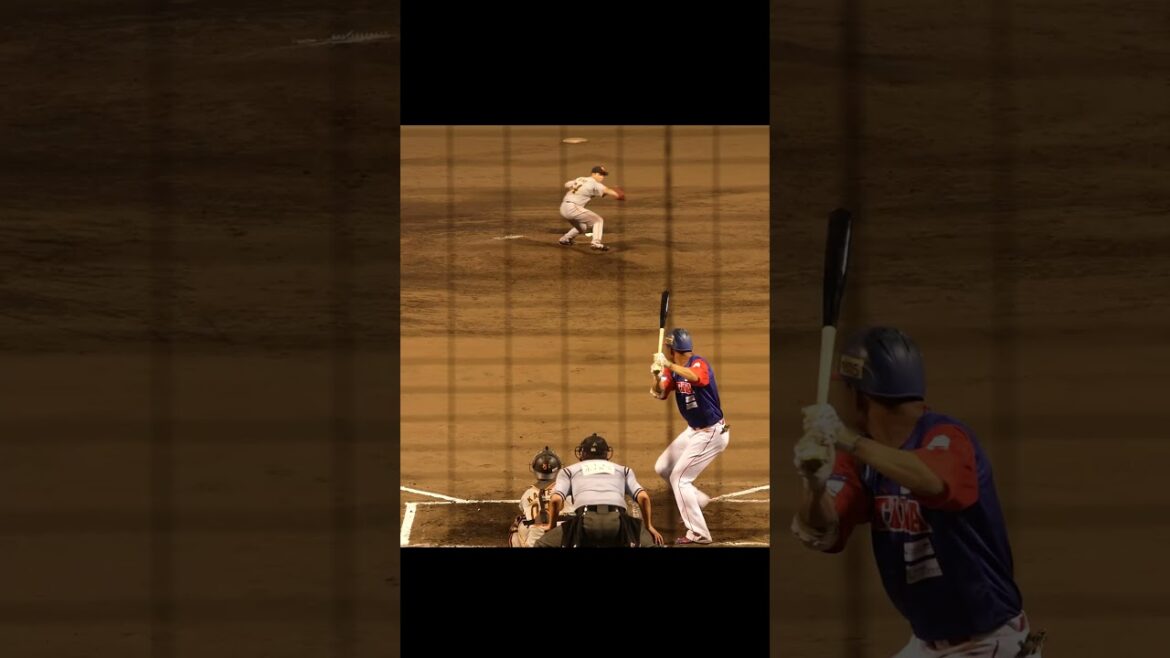 【巨人】三軍戦で見た好プレー集 #shorts #baseball #sports #ジャイアンツ #巨人 #プロ野球 【巨人】三軍戦で見た好プレー集 #shorts #baseball #sports #ジャイアンツ #巨人 #プロ野球