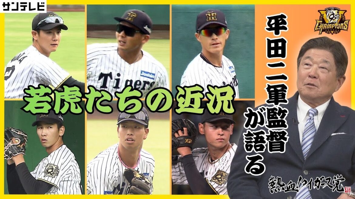 【福島選手はひったすらに努力してる】監督から見たファームの若虎たち!これは来年もし烈な争い間違いなし! #熱血タイガース党 【福島選手はひったすらに努力してる】監督から見たファームの若虎たち!これは来年もし烈な争い間違いなし! #熱血タイガース党