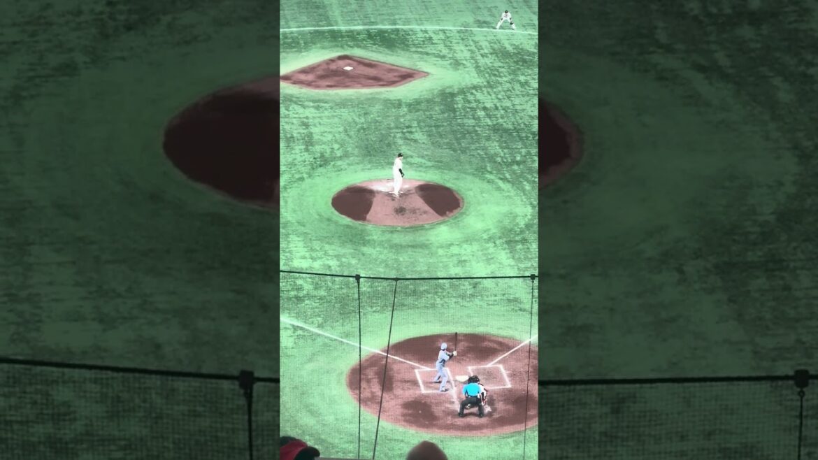 阪神タイガース　渡邉諒　なべりょ応援歌