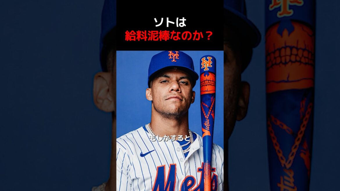 ソトは本当に1,185億円の価値があるのか