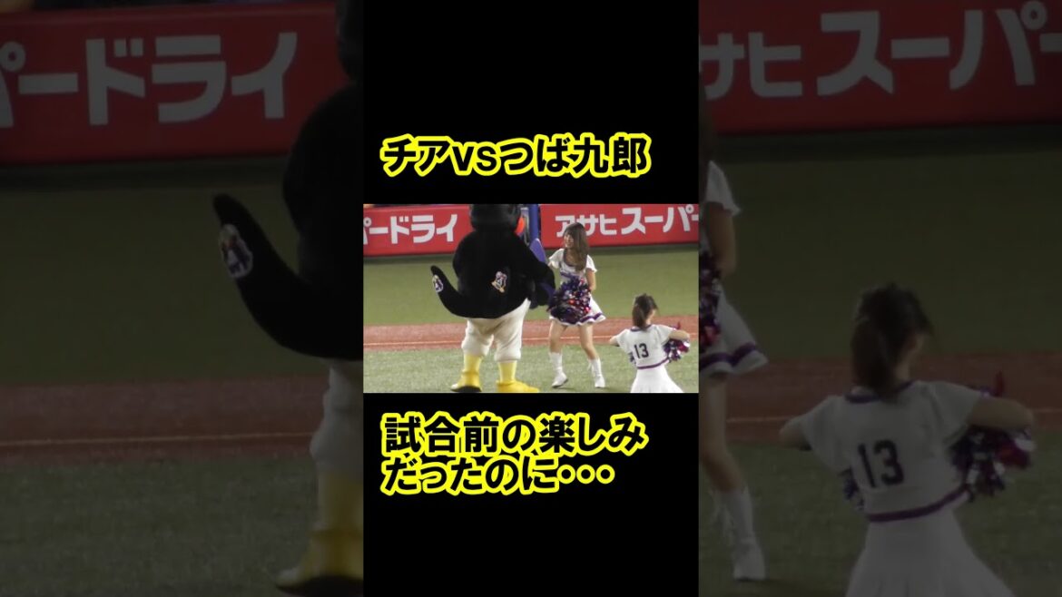 試合前の楽しみだったチアvsつば九郎
