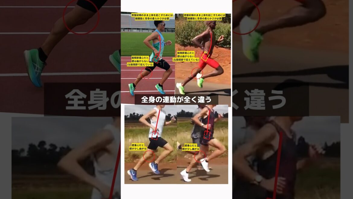 【シン・ランニングフォーム】 #マラソントレーニング #ランニングフォーム #ランニングバイブル