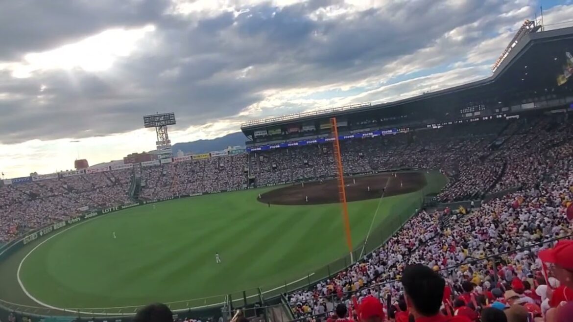 20240914 駆け抜けてみせろプリンス♪【堂林翔太 応援歌】 8回表 広島東洋カープ@阪神甲子園球場・レフト外野 20240914 駆け抜けてみせろプリンス♪【堂林翔太 応援歌】 8回表 広島東洋カープ@阪神甲子園球場・レフト外野