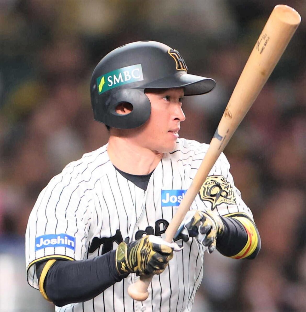 【FA】阪神・近本光司(31)はFA権を行使せず残留…昨季は大山と原口は宣言残留 今季は楽天・辰己、中日・松葉らがFA宣言表明(TBS NEWS DIG Powered by JNN) 【FA】阪神・近本光司(31)はFA権を行使せず残留...昨季は大山と原口は宣言残留 今季は楽天・辰己、中日・松葉らがFA宣言表明(TBS NEWS DIG Powered by JNN)