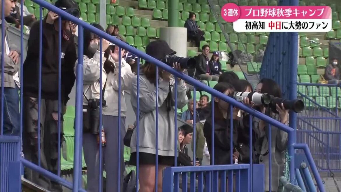 高知で阪神・中日の秋季キャンプはじまる 3連休に県内外から多くのファン【高知】(2025年11月3日掲載)|RKC NEWS NNN 共有