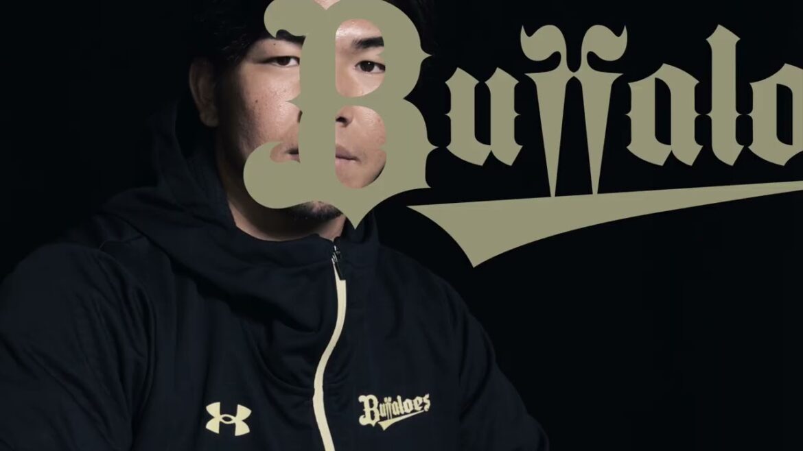 Buffaloes×Under Armour