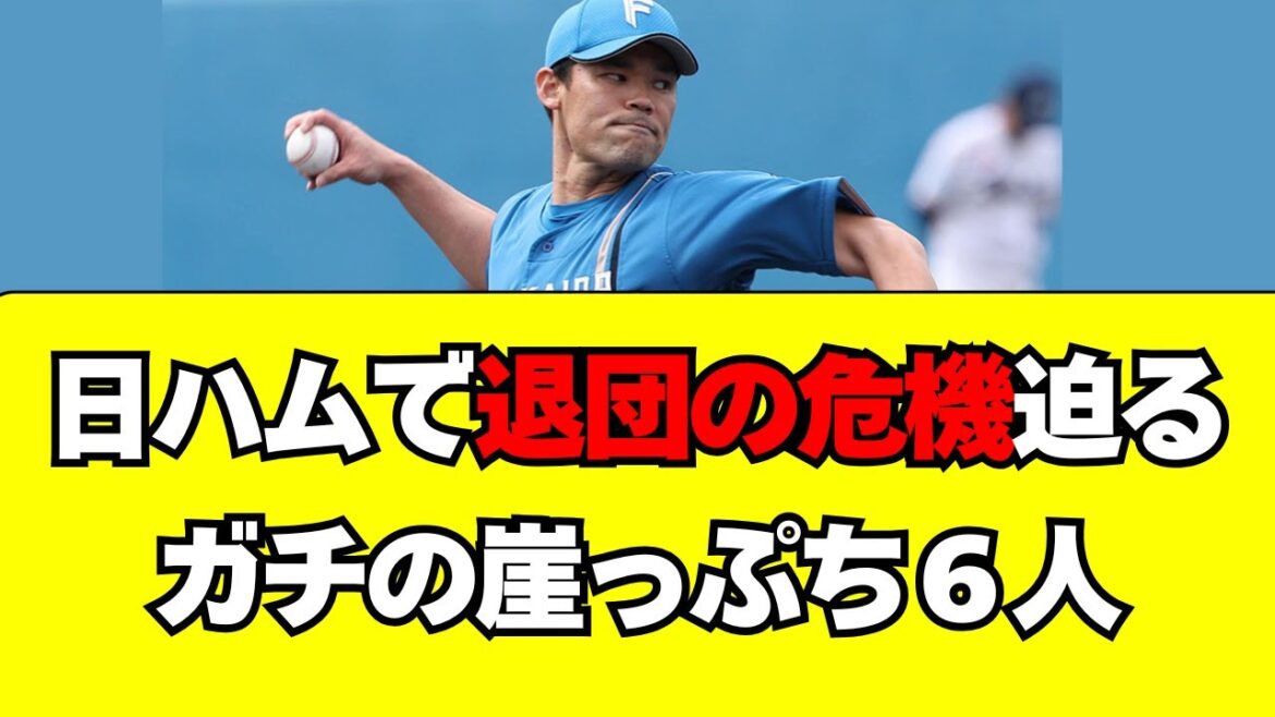 【日本ハム】退団の危機が迫る、ガチの崖っぷち選手6人