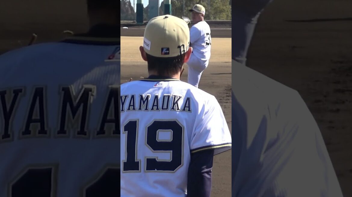 古田島が投げる4球種の軌道 #古田島成龍 #山岡泰輔 #オリックスバファローズ