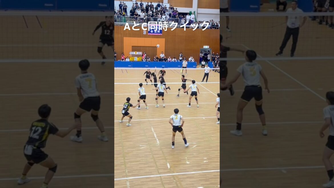 打倒鎮西！筆頭チーム【バレーボール】