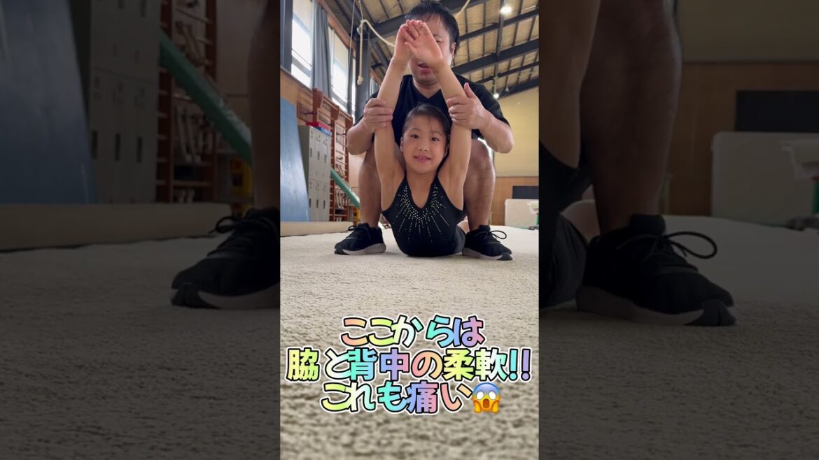 女子体操選手ほのか!柔軟頑張れるかな。#shorts #柔軟 #ストレッチ 女子体操選手ほのか!柔軟頑張れるかな。#shorts #柔軟 #ストレッチ