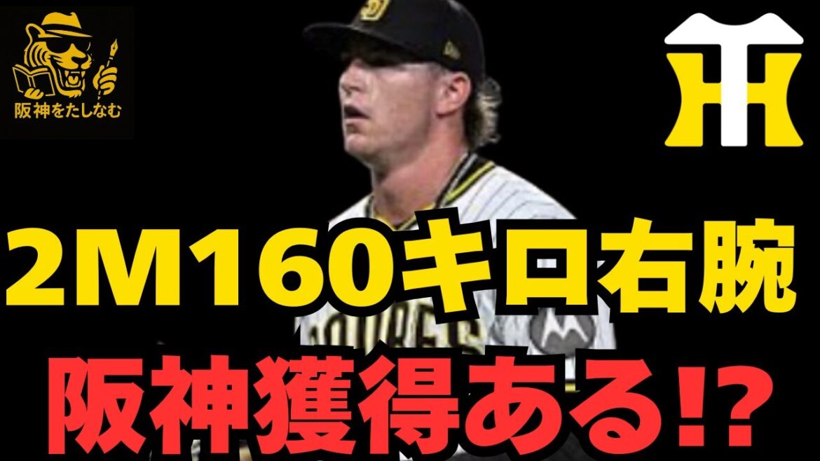 【阪神新外国人考察‼️】ピンズド‼️ショーン・レイノルズ徹底考察‼️にっきーろぺす 氏動画UP‼️獲得の可能性⁉️#阪神タイガース #阪神　新外国人＃新外国人候補　2026#ルーカス＃デバニー