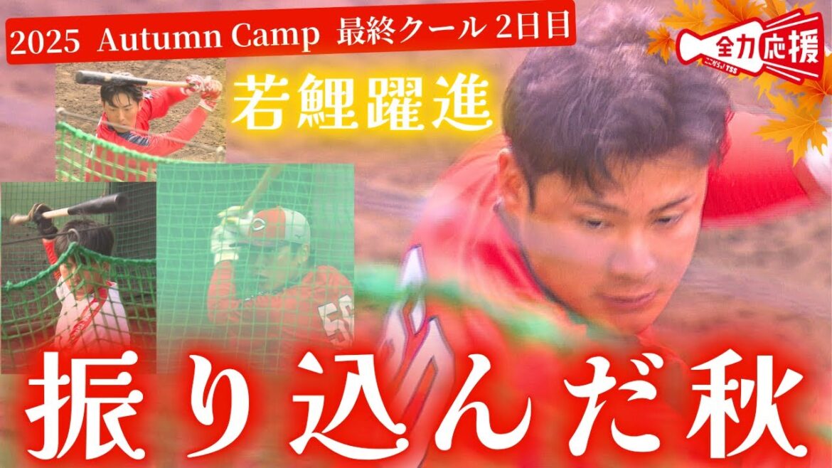 【振り込んだ秋】若鯉の打撃向上への土台作り🔥【球団認定】カープ全力応援チャンネル