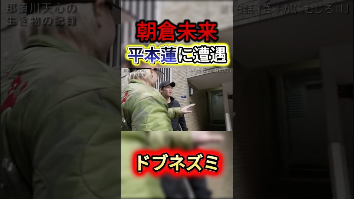 朝倉未来。路上で平本蓮に遭遇。#rizin #朝倉未来 #平本蓮