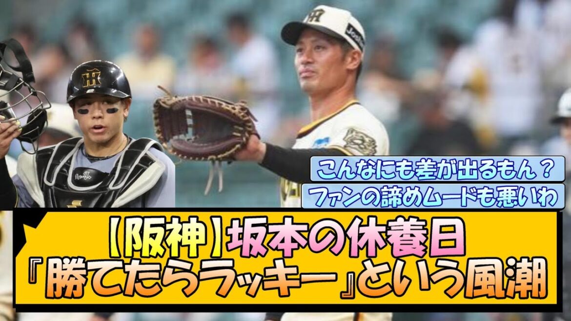 【阪神】坂本の休養日→勝てたらラッキーって風潮