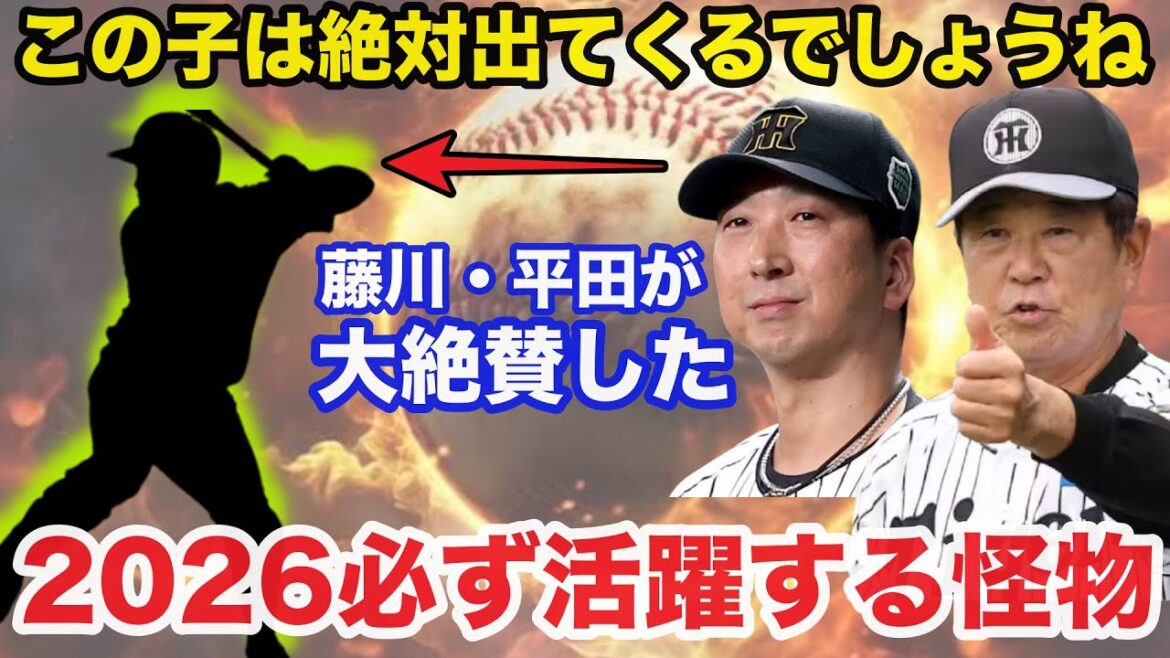 阪神.藤川監督と平田二軍監督も断言する2026年必ず活躍する怪物がコチラ【阪神タイガース】