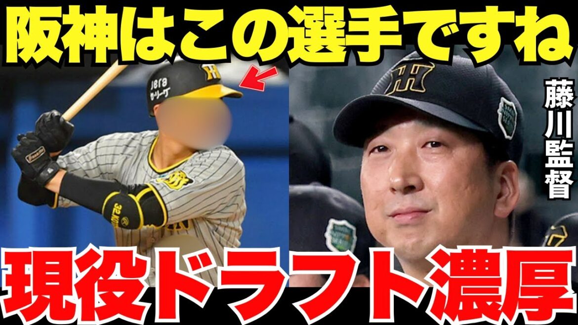 【やっぱり…あの選手】阪神の現役ドラフト候補はこの選手なのか? 【やっぱり…あの選手】阪神の現役ドラフト候補はこの選手なのか?
