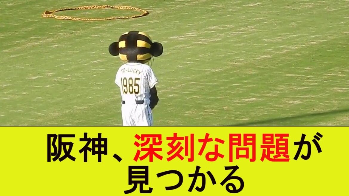 阪神、深刻な問題が見つかる【なんJ/プロ野球/2ch/5ch/反応/まとめ】 阪神、深刻な問題が見つかる【なんJ/プロ野球/2ch/5ch/反応/まとめ】