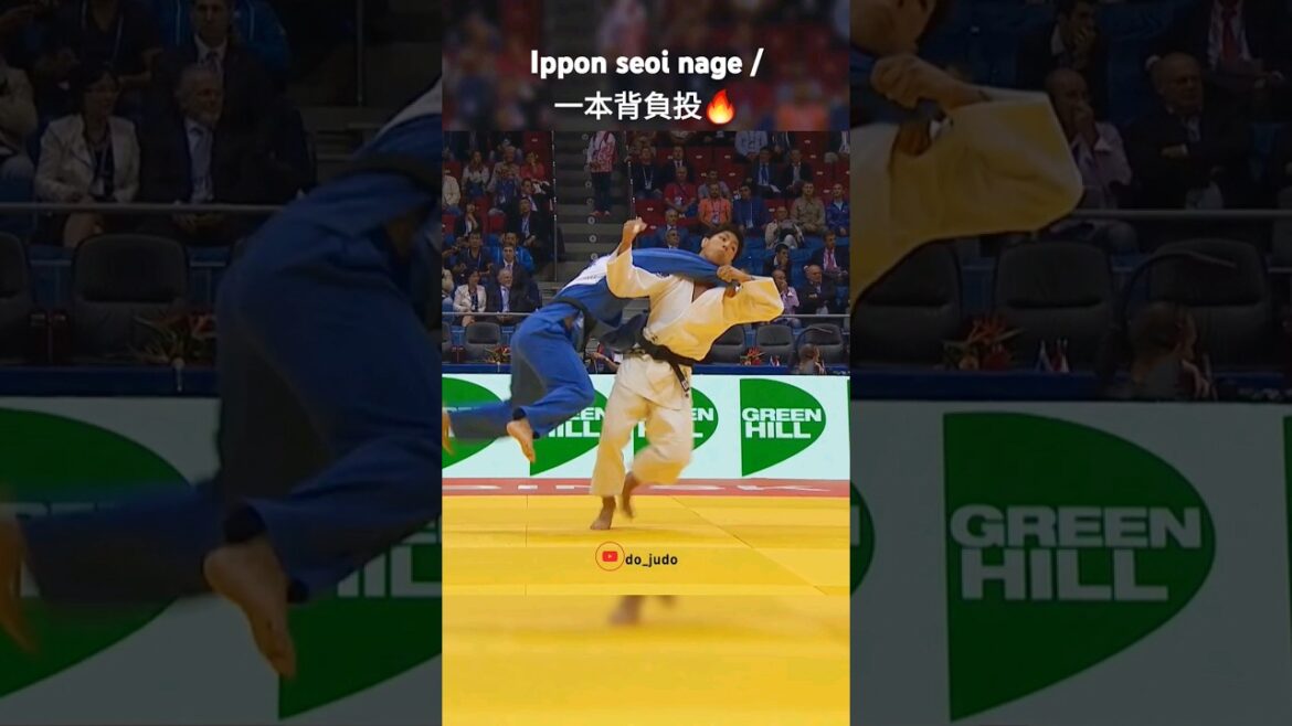 Incredible Ippon seoi nage / 一本背負投🔥 Incredible Ippon seoi nage / 一本背負投🔥