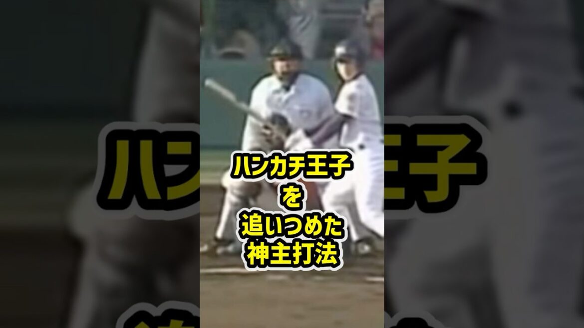 ハンカチ王子を追いつめた神主打法 #高校野球 #野球 #甲子園