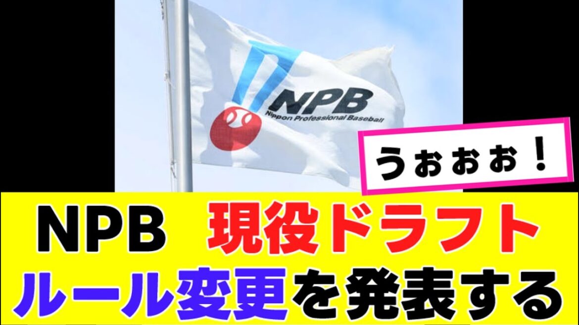 【NPB】現役ドラフト、素晴らしいルール変更を発表www