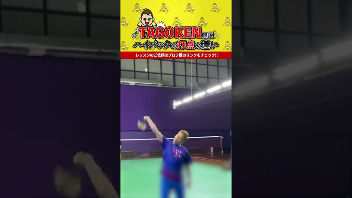 #tagoken #バドミントン #ハイバック
