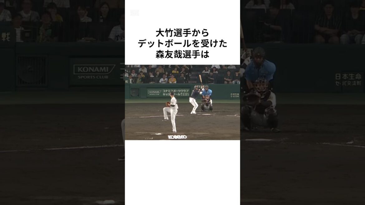 「死球が当たっても怒らなかった」森友哉に関する雑学#プロ野球 #乱闘#shorts 「死球が当たっても怒らなかった」森友哉に関する雑学#プロ野球 #乱闘#shorts