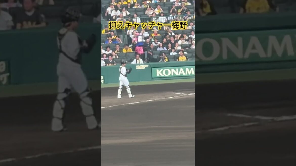 #梅野隆太郎 9回からマスクを被る #阪神タイガース #hanshintigers #甲子園 #プロ野球 #野球 #ドリス