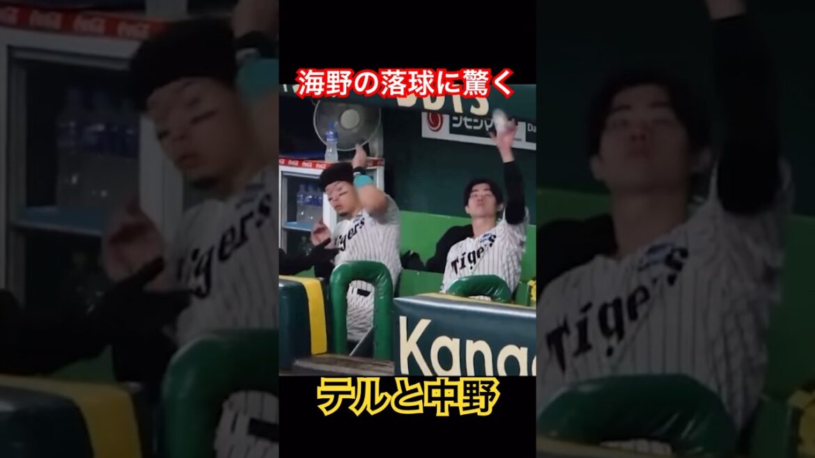 海野の落球に驚くサトテルと中野www #阪神タイガース #中野 #佐藤輝明 #shorts