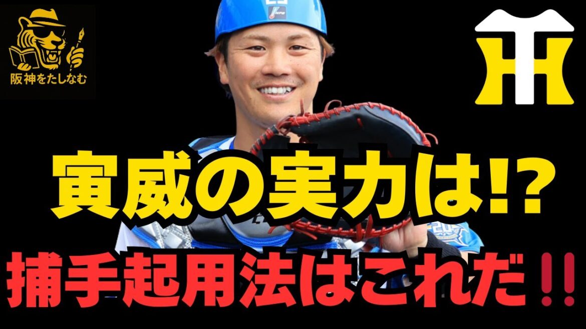 阪神2026捕手起用法はこれだ‼️伏見の加入は日本一への大きなピース‼️　＃阪神タイガース #伏見 寅威＃キャムデバニー #日本ハム　#阪神 考察＃阪神　新加入＃阪神　ルーカス＃阪神　補強