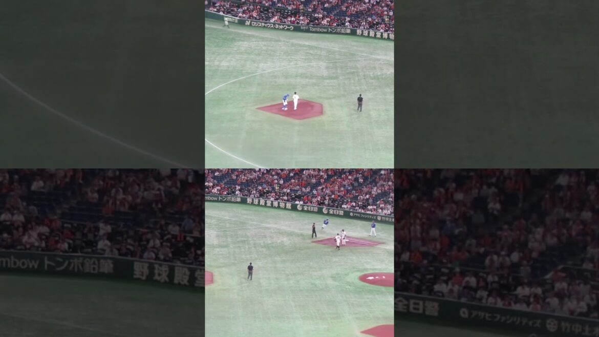 送りバント セカンド吉川尚輝の一塁ベースカバーはこんなスピードで行われる（読売ジャイアンツ 対 中日ドラゴンズ 2024年9月27日）　#吉川尚輝 #セカンド守備 #読売 #巨人