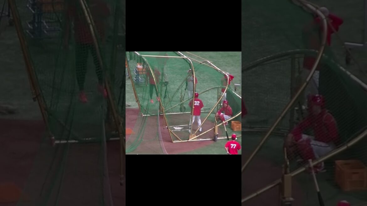 広島 石原貴規のフリーバッティング（2024年6月28日読売ジャイアンツ対 広島カープ）