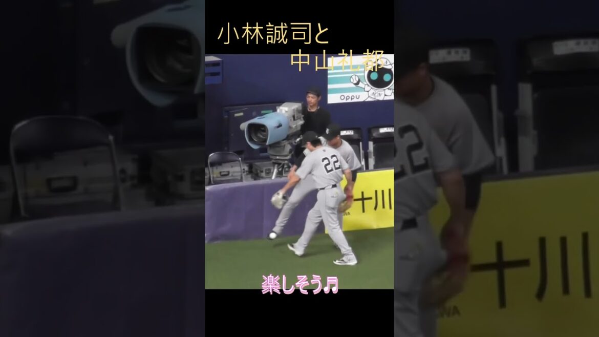 じゃれる小林誠司と中山礼都 #小林誠司 #中山礼都 #読売ジャイアンツ