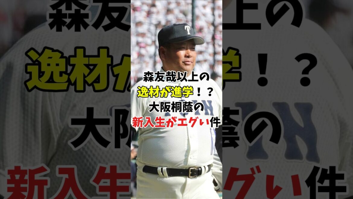 【新入生情報 2026】森友哉以上の打撃力を持つ逸材捕手が進学⁉️大阪桐蔭の新入生がエグすぎる 【新入生情報 2026】森友哉以上の打撃力を持つ逸材捕手が進学⁉️大阪桐蔭の新入生がエグすぎる