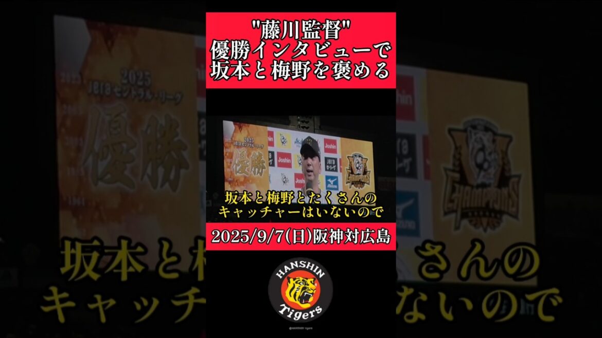 【阪神】藤川球児監督が優勝インタビューで坂本、梅野を褒める！ #阪神 #阪神タイガース #藤川球児 #shorts